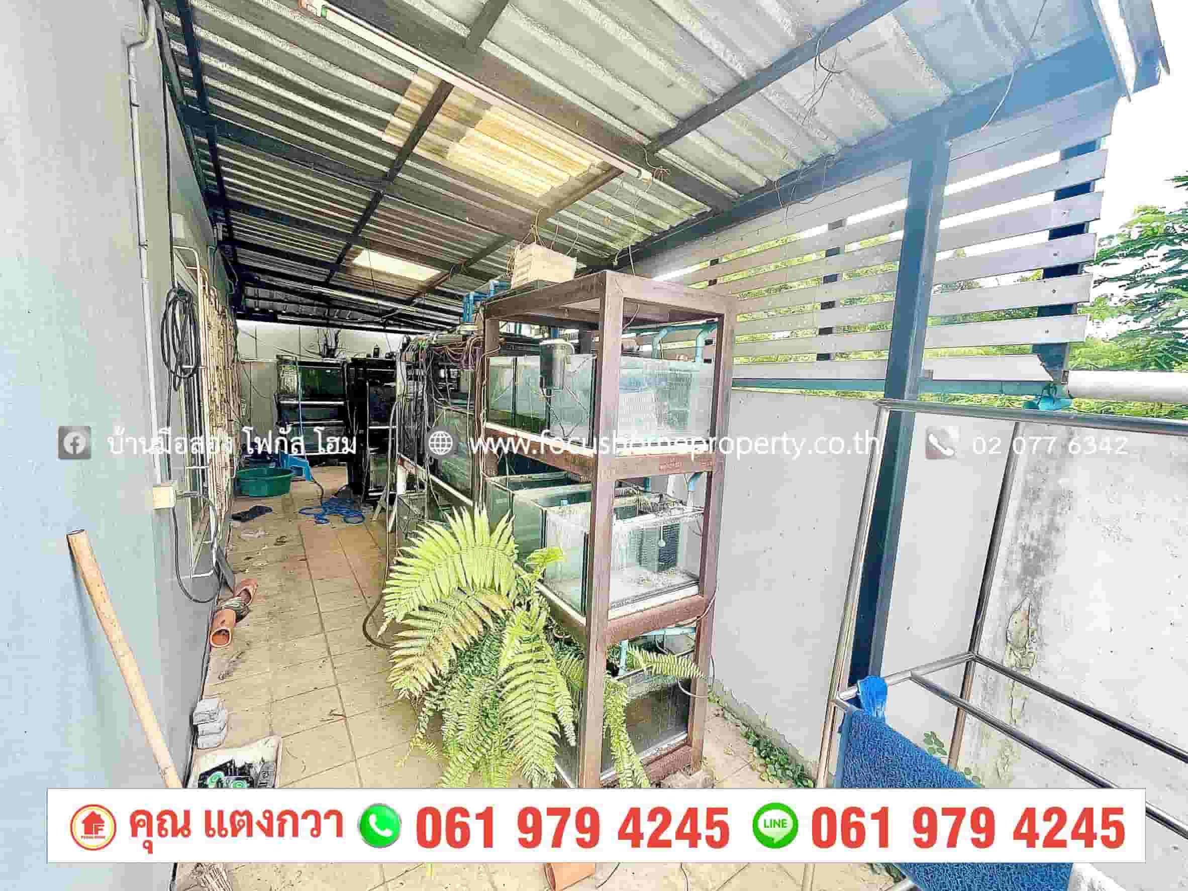 ขาย ทาวน์เฮ้าส์ หลังมุม บ้านพฤกษา 26 บางใหญ่